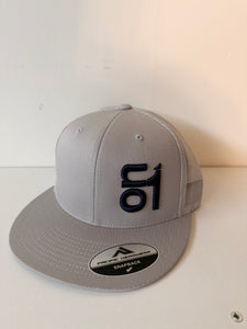 4D3 SILVER  W/ NAVY ON1 LOGO